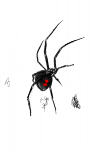 widow_003