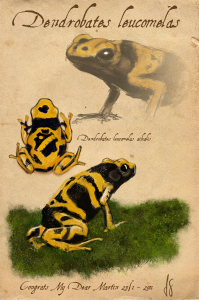 Birthday gift for my friend Martin. He loves frogs and AIK