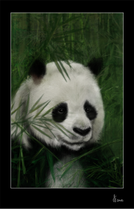 panda_done
