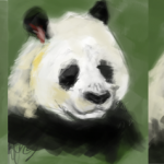 panda_speed